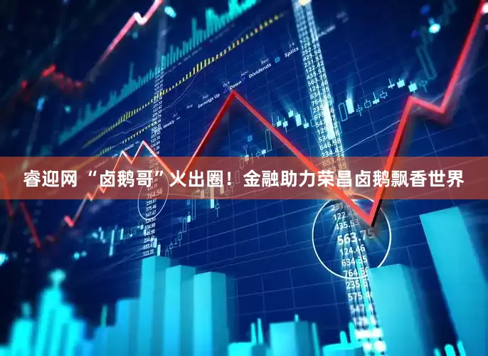 睿迎网 “卤鹅哥”火出圈！金融助力荣昌卤鹅飘香世界