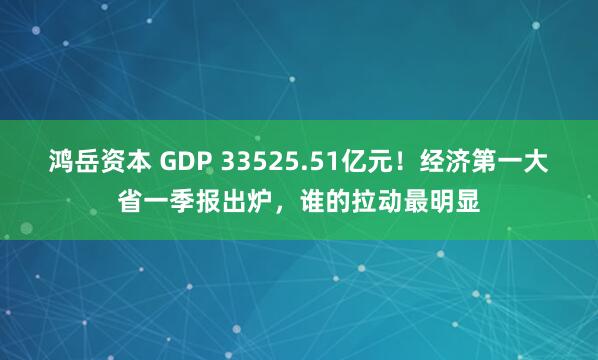 鸿岳资本 GDP 33525.51亿元！经济第一大省一季报出炉，谁的拉动最明显
