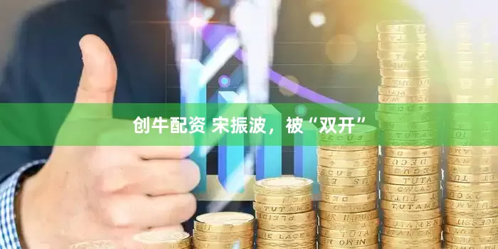 创牛配资 宋振波，被“双开”