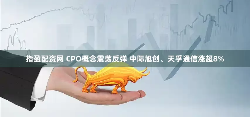 指盈配资网 CPO概念震荡反弹 中际旭创、天孚通信涨超8%